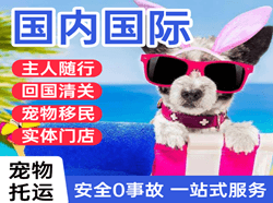 厦门高崎空运地址国际宠物托运 【国